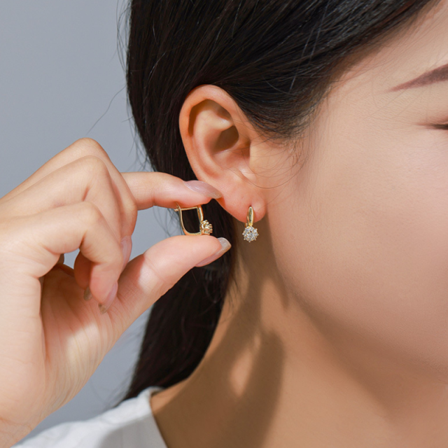 Modern Fashion Earrings