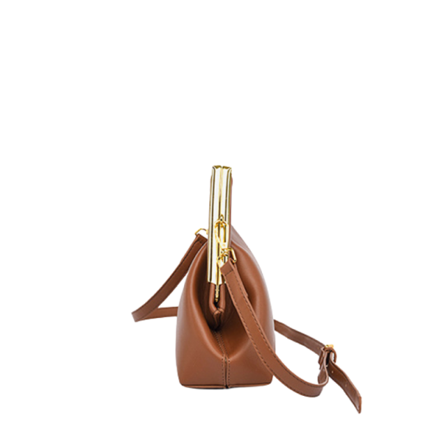 Sleek Clasp Crossbody Bag