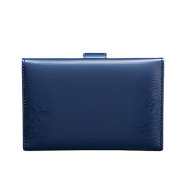 Global Guard Passport Holder