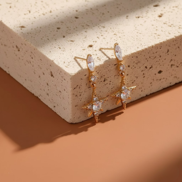 Zircon Star Long Earrings