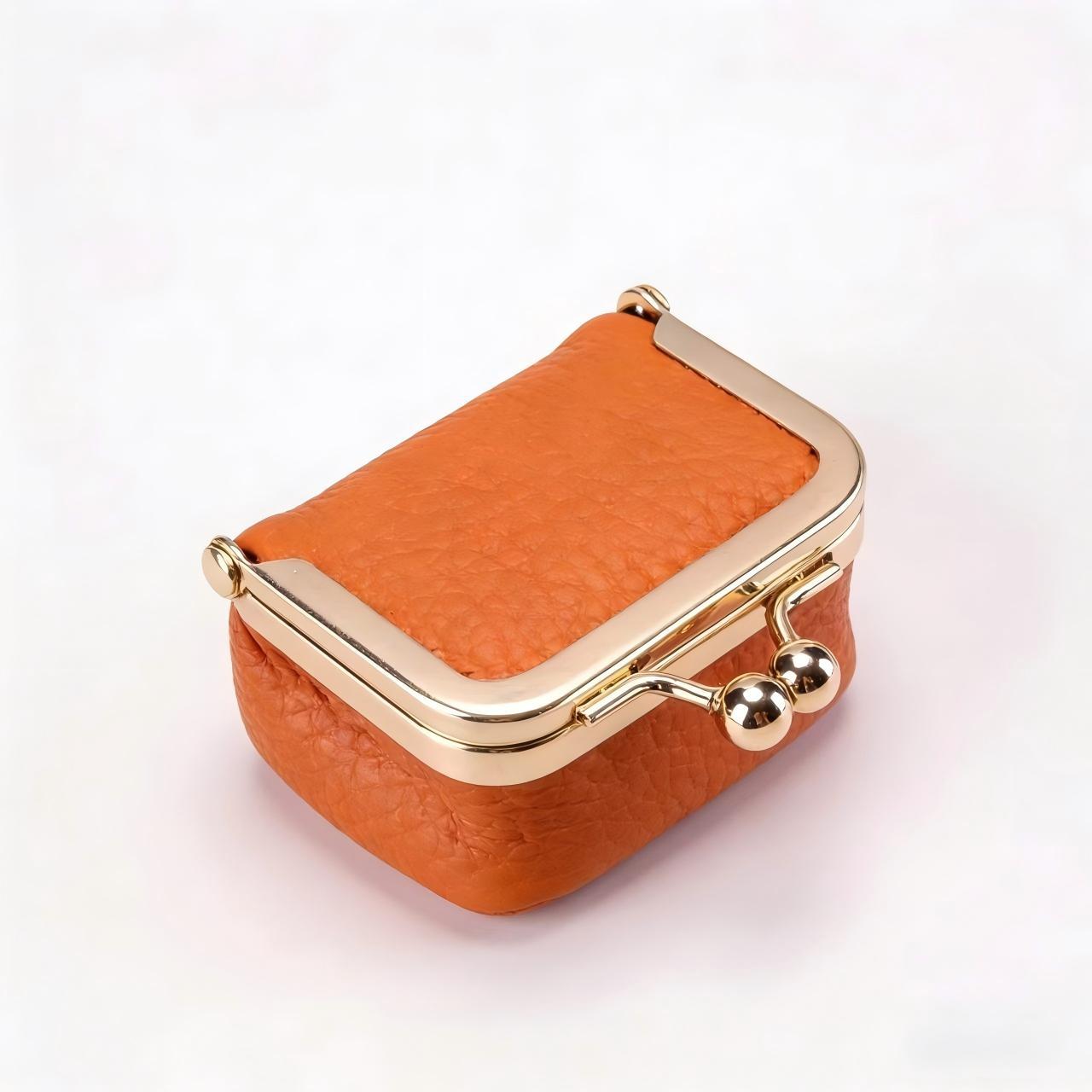 Mini Clasp Storage Women’s Mini Bag