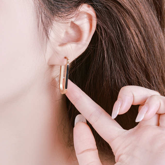 New Fashionable Cross-Border Stainless Steel Earrings